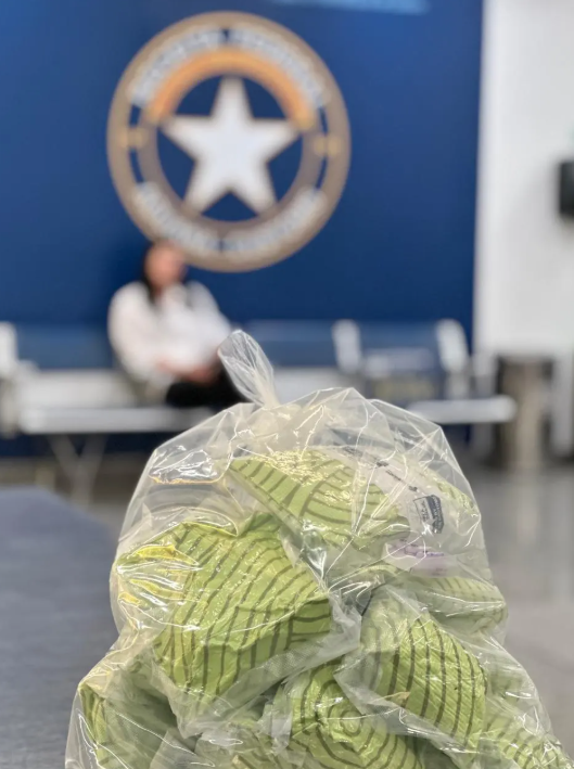 Apreensão de metanfetamina (Fig. 2)