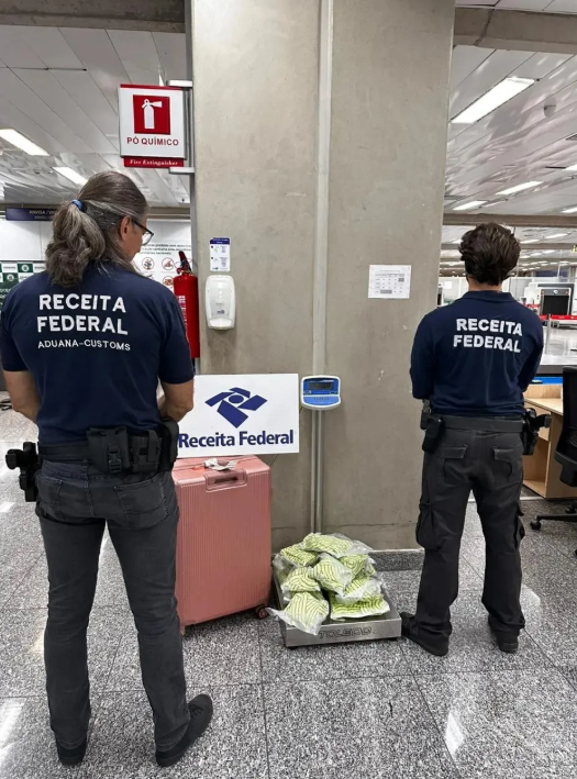 Apreensão de metanfetamina (Fig. 1)